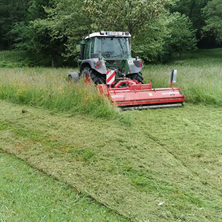 Entretien d'espaces verts effectué par Castagnous Paysage