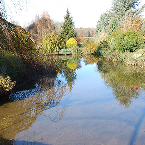 Gestion de l’eau et arrosage
