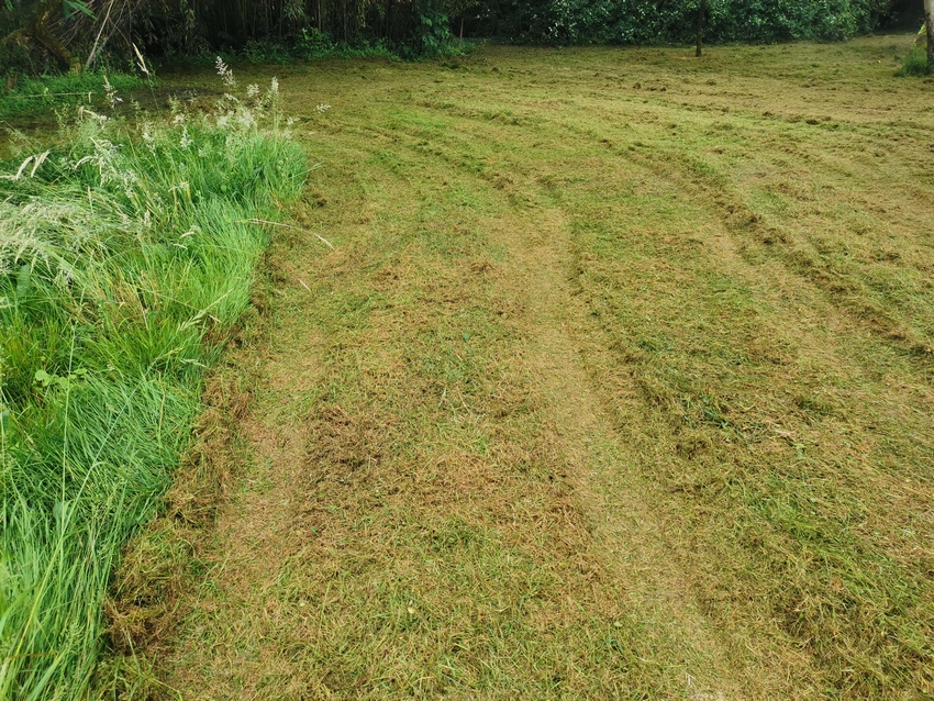 Contrat d'entretien pour le fauchage d'herbes hautes à Lacq et Poudenx - Castagnous Paysage
