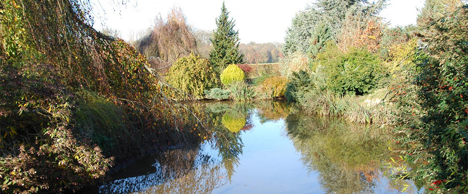 Gestion de l'eau et arrosage en Béarn