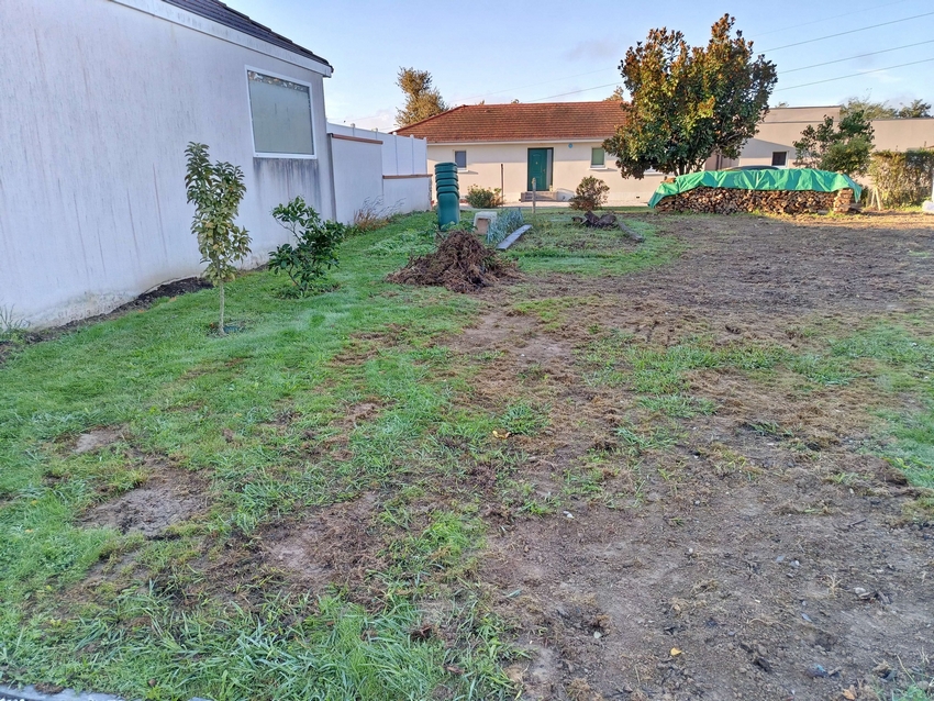 Rénovation paysagère réalisée à Artix - Castagnous Paysage