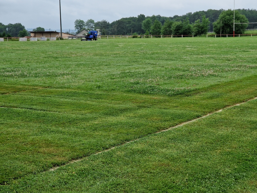 Contrat d'entretien de tonte de pelouses à Arthez-de-Béarn - Castagnous Paysage