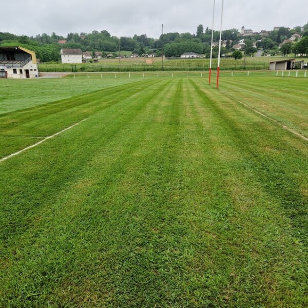 Contrat d'entretien de tonte de pelouses à Arthez-de-Béarn - Castagnous Paysage