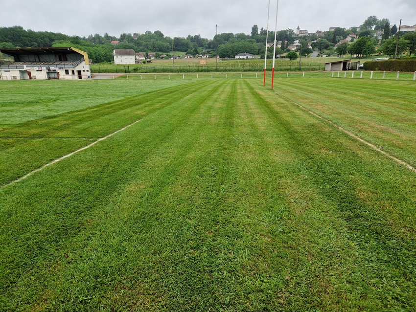 Contrat d'entretien de tonte de pelouses à Arthez-de-Béarn - Castagnous Paysage